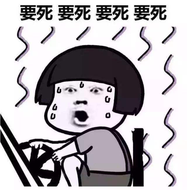暑假学车.jpg